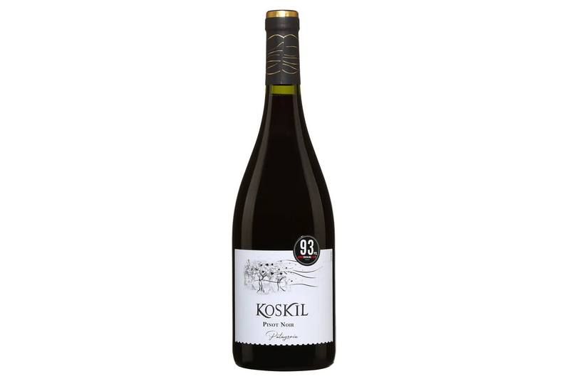 Le vin Koskil Pinot Noir Patagonia 2023